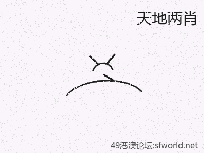 深度：天地两肖应用到实践全攻略 缩略图